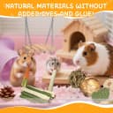 40 PCS Hamster Toys Set — Guinea Pig Toys Enrichment Hamster Tubes and Tunnels