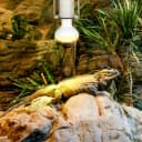 Reptile Ceramic Socket — Heat Lamp Holder for Terrariums and Vivariums