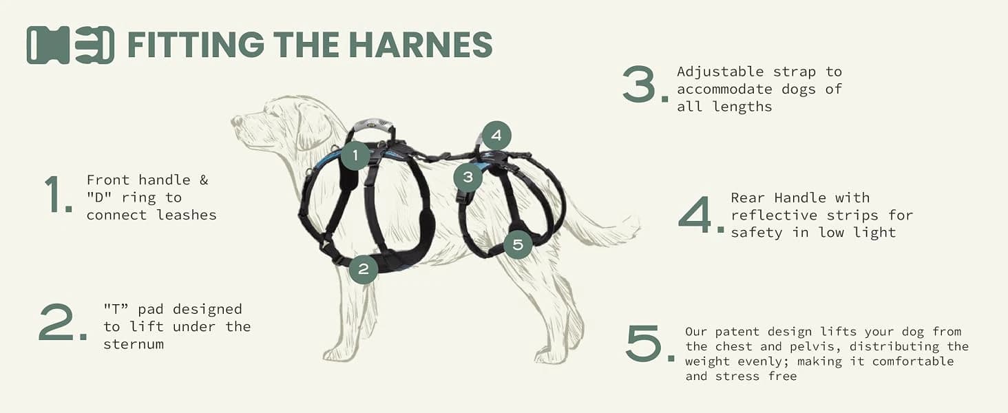 Dog Lift Harness — Full Support — product details