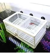 Aquarium Fish Breeder Box Plastic Fish Isolation Breeding Box Hatching Incubator Box for Baby Fishes Shrimp — collection imagery