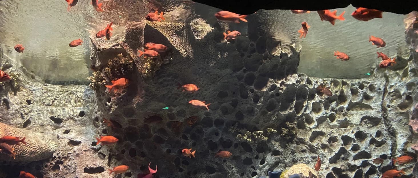 Mini Aquarium Air Stone, Small Bubble Stone Fish Tank Oxygen Stone Ultra Silent Deep Dissolving Oxygen Diffuser — collection imagery