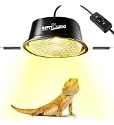 Reptile Humidifier — Mini Automatic Misting System for Reptile Terrariums — collection imagery