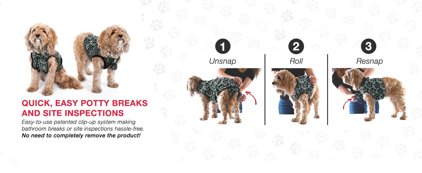 Dog Surgery Recovery Suit — Male Female After Spay Neuter Onesie — product details