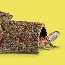 Bark Bends Reptile Hides for Geckos — Express Yourself