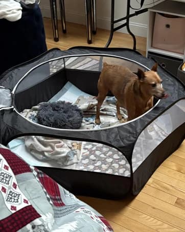 Small Animal Playpen — Waterproof Foldable Pet Playpen — collection imagery