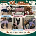 Dog Surgery Recovery Suit — Surgical Suit for Dogs Male Female