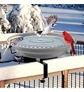 35In Metal Bird Bath for Outside — collection imagery