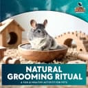 3 LB Chinchilla Dust Bath Jar