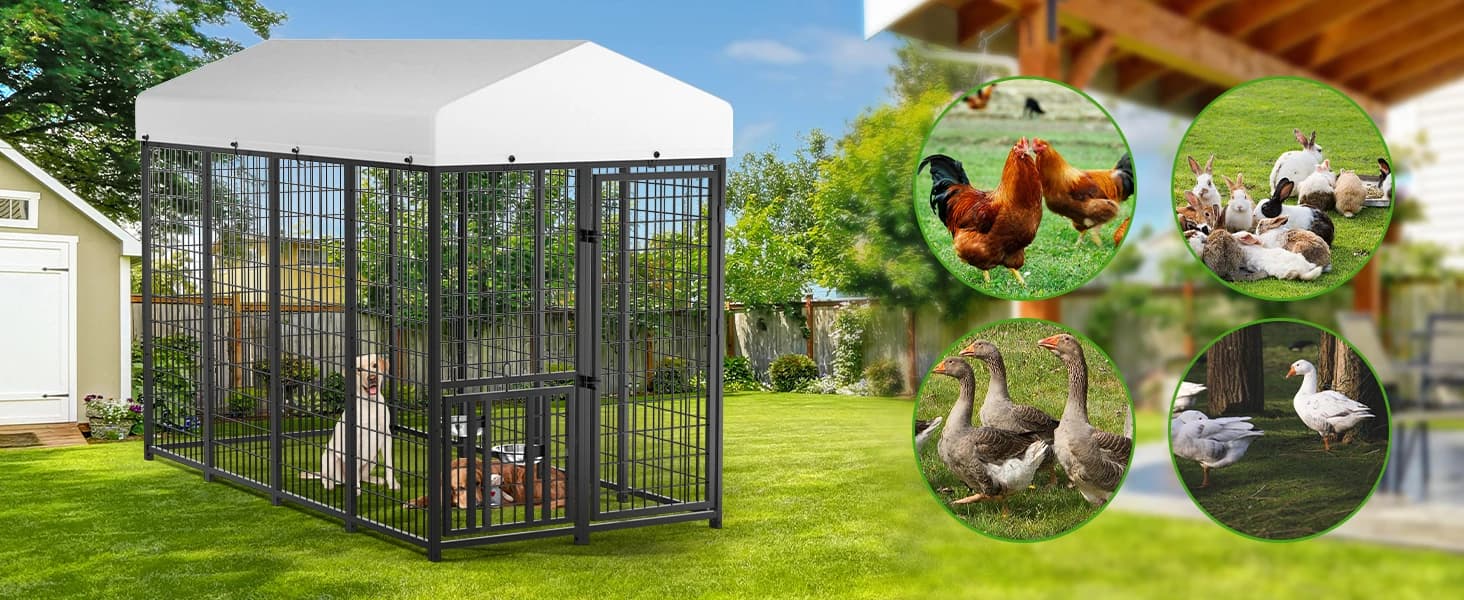 8' x 4' Outdoor Dog Kennel with Roof for Large Dogs — Versatile Outdoor Enclosure