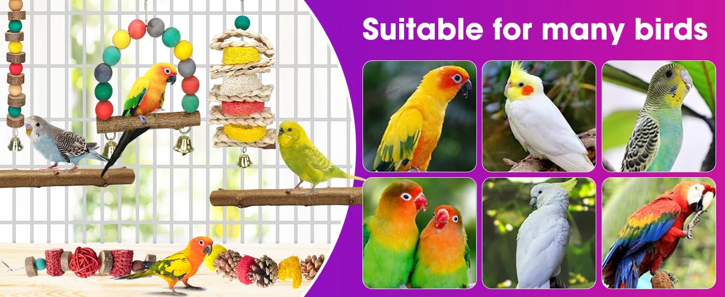 7 Pcs Natural Wood Bird Toy and Perch for Parakeets — product details