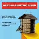 Double Suet Cake Feeder — Weather Guard