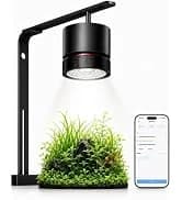 2.5L Upgraded Aquarium CO₂ Generator kit for Aquarium Plants Tanks — collection imagery
