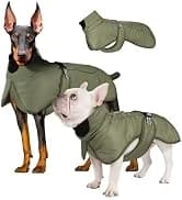 Dog Backpack for Small Dogs to Wear — collection imagery
