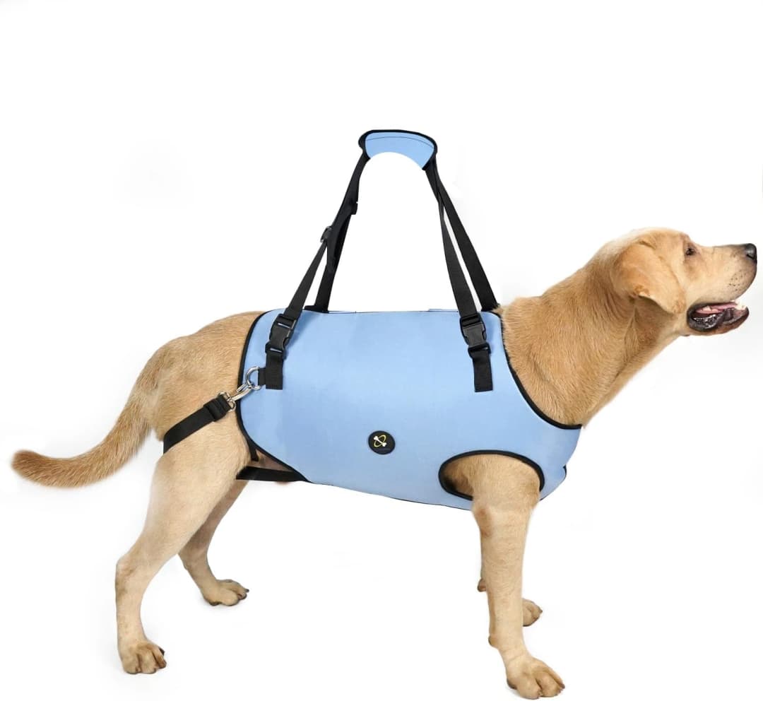 Dog Lift Harness, Pet Support and Rehabilitation Sling Lift Adjustable Padded Breathable Straps for Old