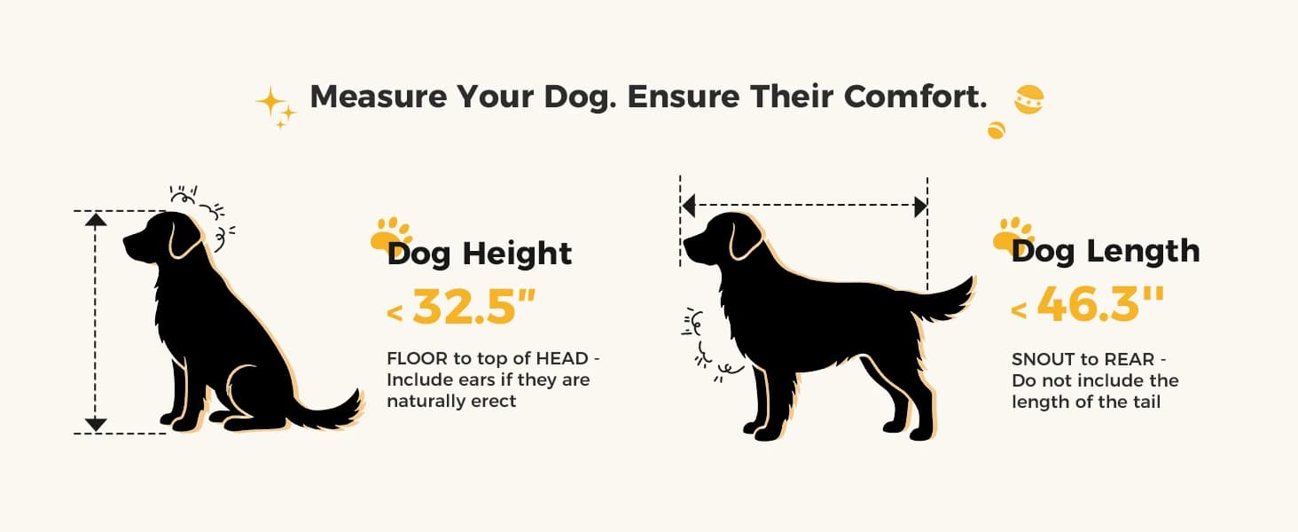 48'' Heavy Duty Dog Crates for Large Dogs — collection imagery