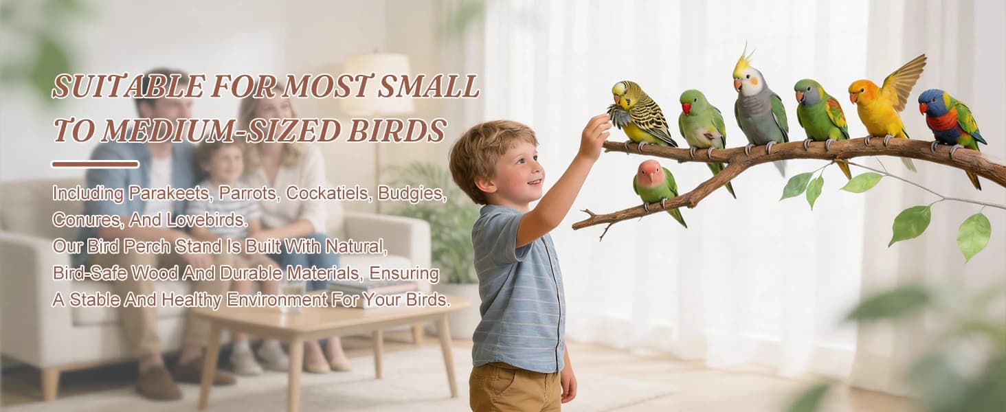 Bird Playground — Natural Wooden Parrot Play Stand — product details