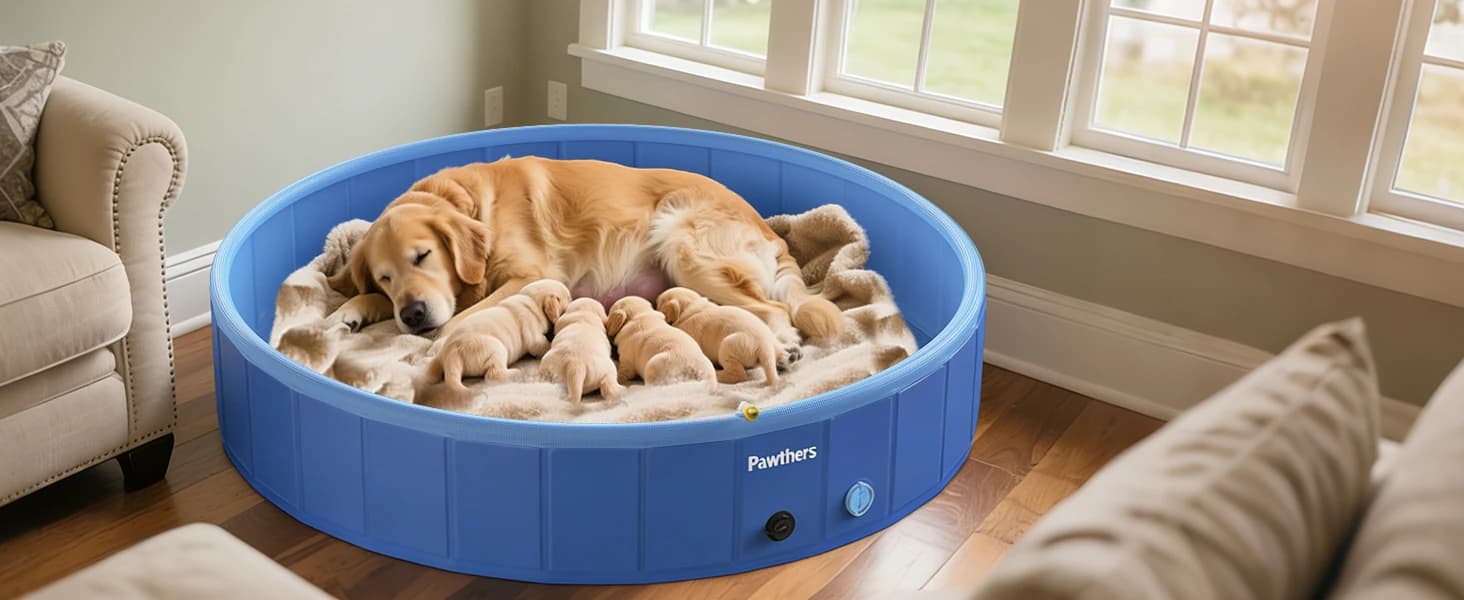 Foldable Dog Pool with Sprinkler and RGB LED Light — collection imagery
