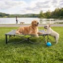 Outdoor Dog Bed — Cooling Elevated Pet Bed Portable Raised Dog Bed with Breathable Mesh