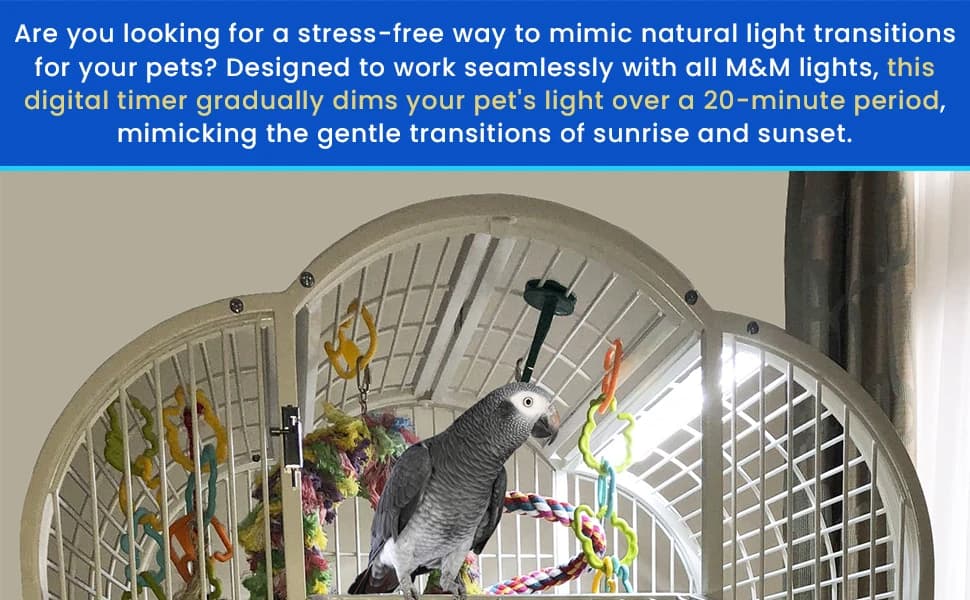 Sunrise and Sunset Timer for Bird Lights — product details