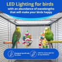 HappyBird Lighting Bird Cage Light with Chew Guard - Full Spectrum LED Pet Light - Simulates Natural