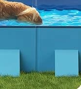 Dog Pool for Large Dogs — Foldable Hard Plastic — collection imagery
