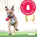 Flyer — Natural Rubber Flying Disc Fetch Toy