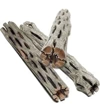 3 Pack Shrimp Cholla Wood — Aquarium Driftwood Decor for Fish Tank Setup — collection imagery