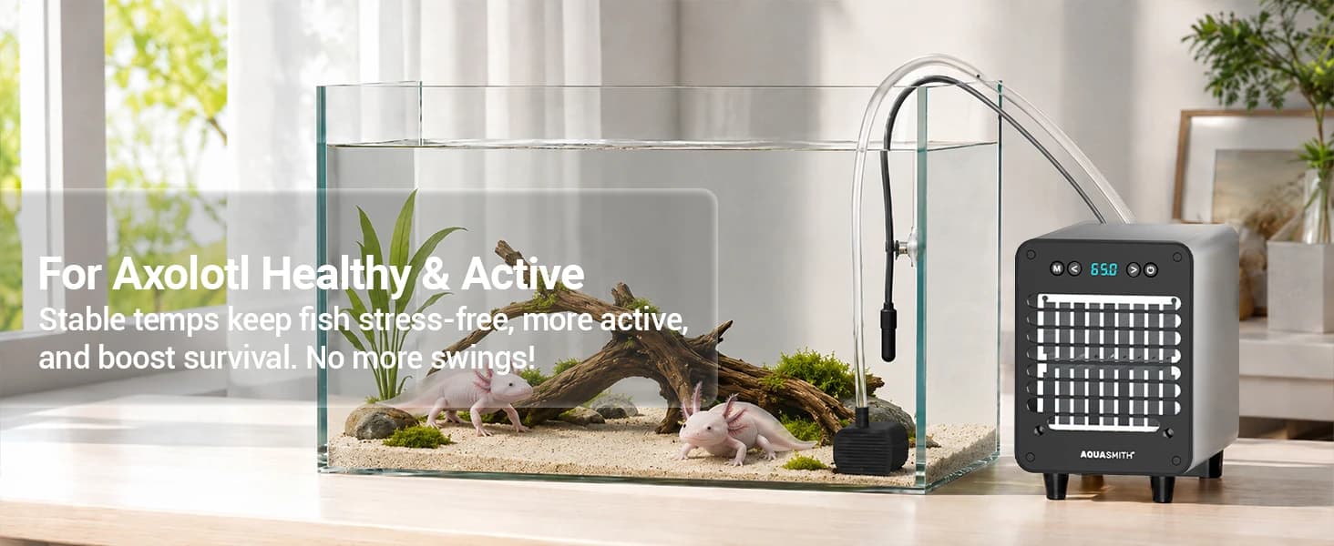Mini Aquarium Chiller Semiconductor Cooler and Heater — product details