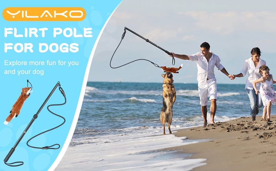 Flirt Pole for Dogs - Heavy Duty Interactive Dog Rope Toy — product details