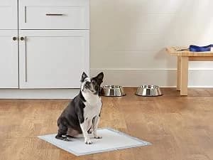 Scented Dog and Puppy Potty Training Pee Pads — Leak-Proof 5-Layer Pee Pads with Quick-Dry Surface