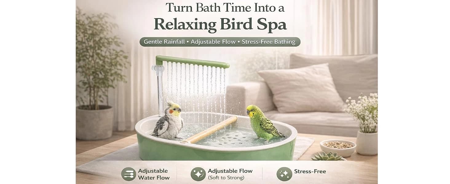 Indoor Bird Bath Fountain — Dual Rainfall Parrot Shower with Anti-Clog Pump and Filter Sponge — product details