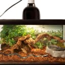 Repti Bark — 4qt