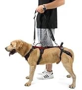 Dog Lift Harness, Pet Support and Rehabilitation Sling Lift Adjustable Padded Breathable Straps for Old — collection imagery