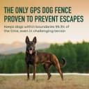 Nova GPS Dog Fence Collar — App-Controlled Wireless Fence