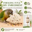 Bird Toys Sola Balls 2.36'' - 6PCS — Bird Foraging Toy