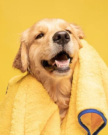 Professional Eye Comb for Pets — collection imagery