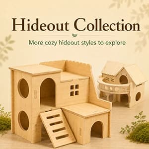 Tiny Hamster Maze Wood House Fun Slide House — Double-Decker Hut for Dwarf Gerbil Mouse Mice Rat Small — collection imagery