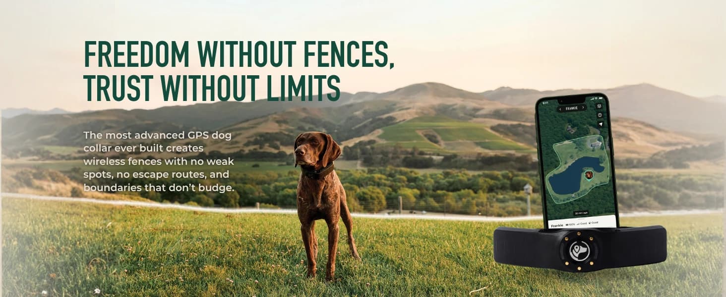 Nova GPS Dog Fence Collar — App-Controlled Wireless Fence — product details