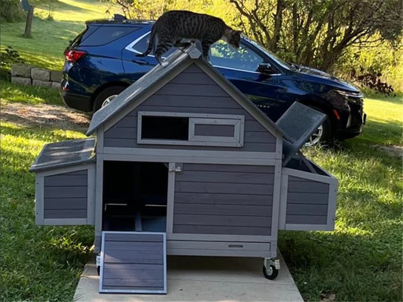 Large Chicken Coop on Wheels Mobile Wooden Hen House Weatherproof Duck Poultry Cage 67.3" L for 6-8 Chickens — Voice Of Customer