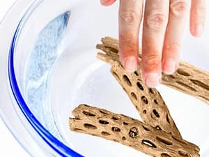 3 Pack Shrimp Cholla Wood — Aquarium Driftwood Decor for Fish Tank Setup — Easy 4-Step Preparation Guide