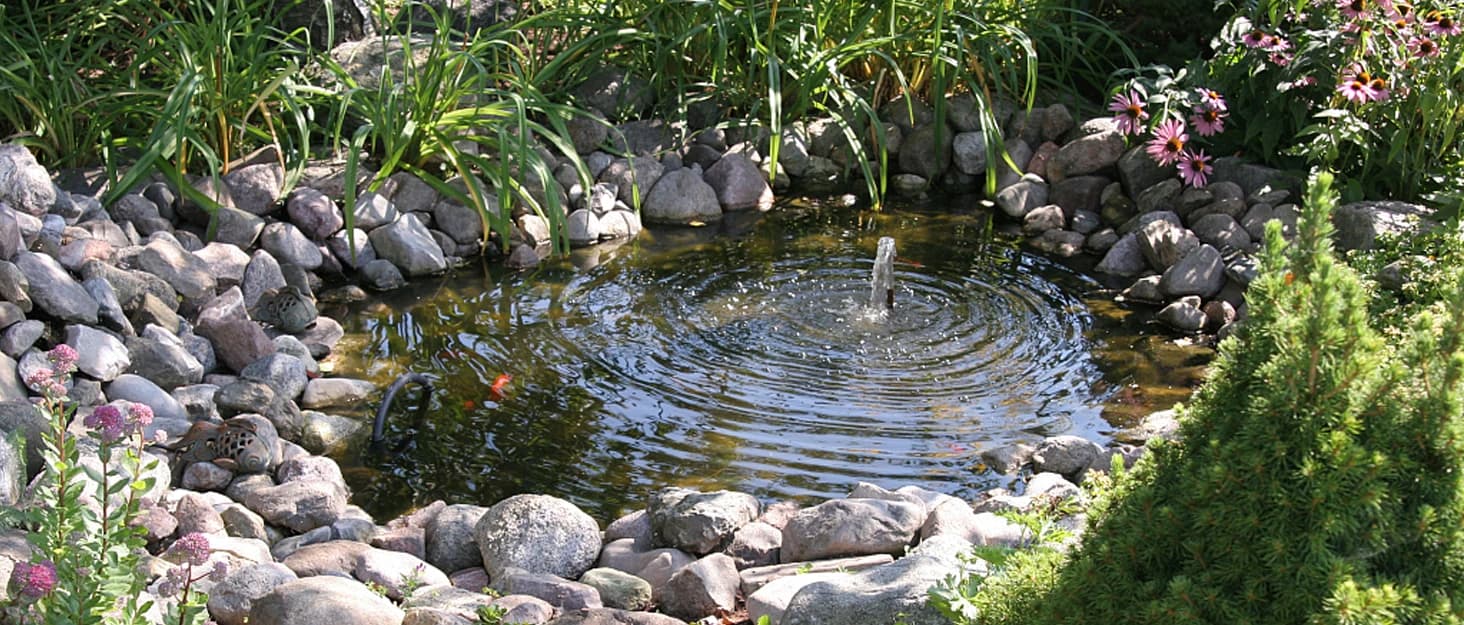 5 * 7ft Pond Cover Dome — Garden Pond Net Pond Mesh Tent with Ropes — collection imagery