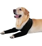 Dog Lift Harness, Pet Support and Rehabilitation Sling Lift Adjustable Padded Breathable Straps for Old — collection imagery