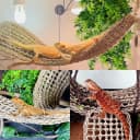 2 Pack Large Bearded Dragon Hammock,30"x7"Lizard Climbing Lounger