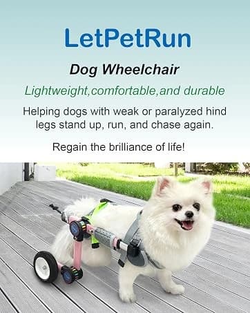 Dog Wheelchair for Back Legs — Adjustable Mobility Cart for Dog — collection imagery