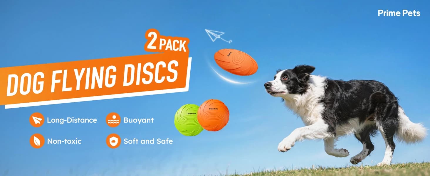 Dog Flying Disc — 2 Pack — product details