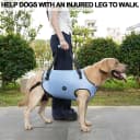 Dog Lift Harness, Pet Support and Rehabilitation Sling Lift Adjustable Padded Breathable Straps for Old