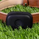 Pet GPS Tracker for Dogs | Live Tracking