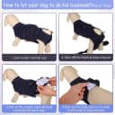 Dog Surgery Recovery Suit — Surgical Suit for Dogs Male Female