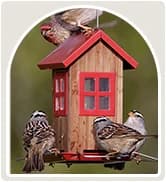 Metal Bird Feeders for Outdoors Hanging — collection imagery