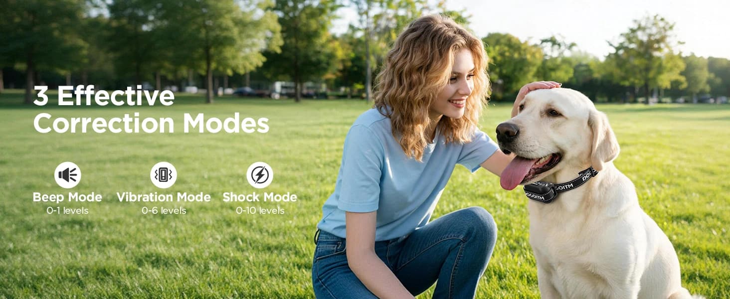 GPS Wireless Dog Fence — No Subscription Dog Collar for Dogs 15Lbs+ — collection imagery